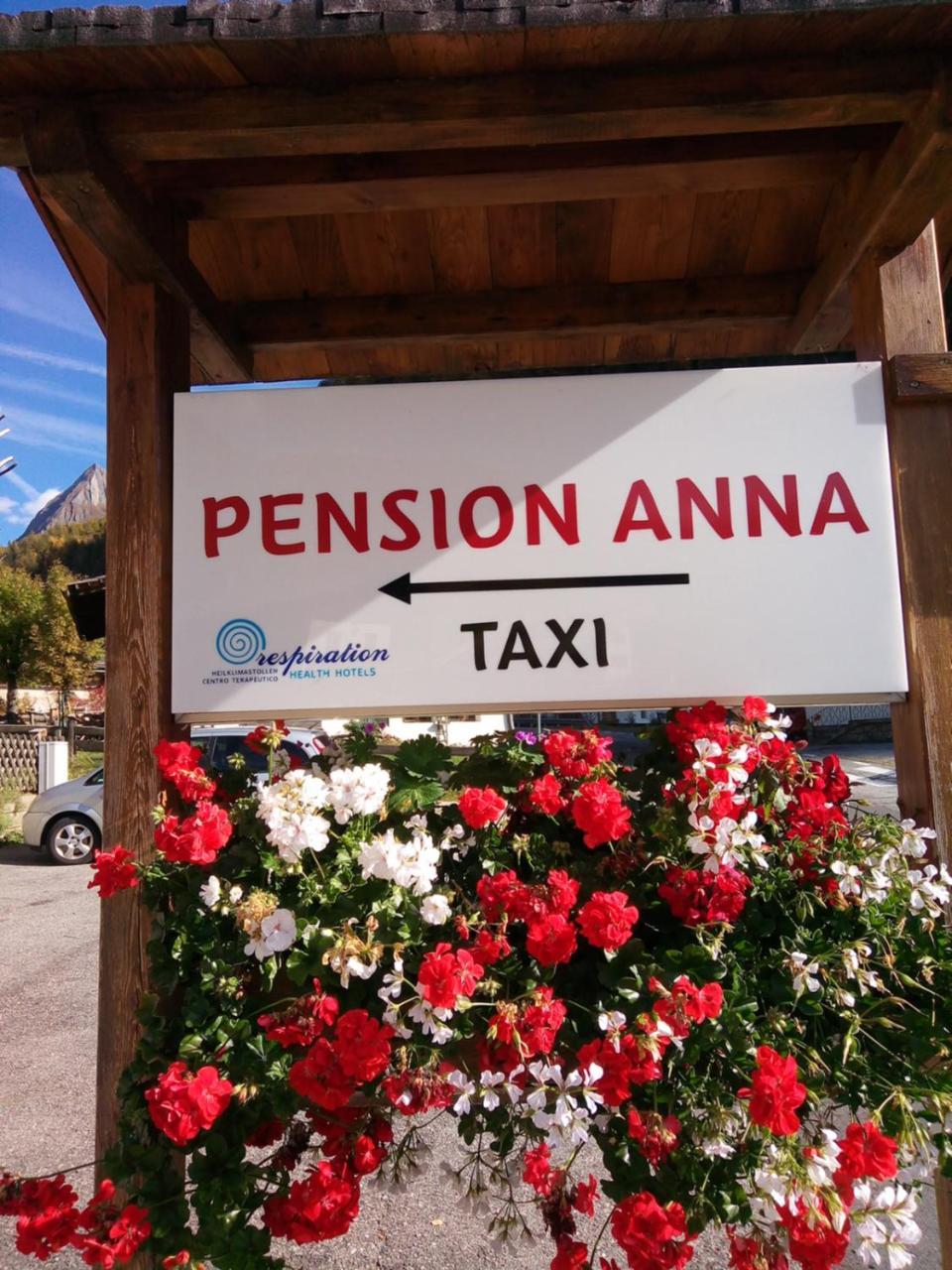 Pension & Appartament Anna Predoi Eksteriør billede